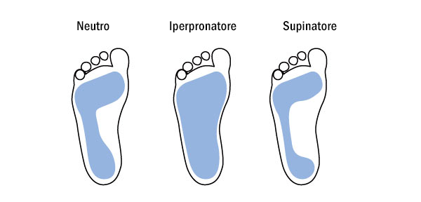 TEST appoggio pronatore o supinatore