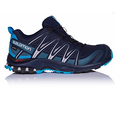 Recensioni Salomon Trail Running XA Pro 3D GTX scarpe maschili per la corsa